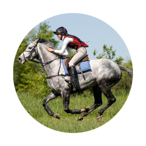 respectland binici kategori