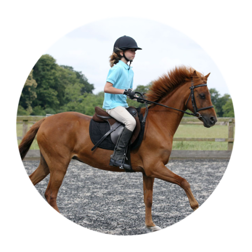 respectland binici kategori