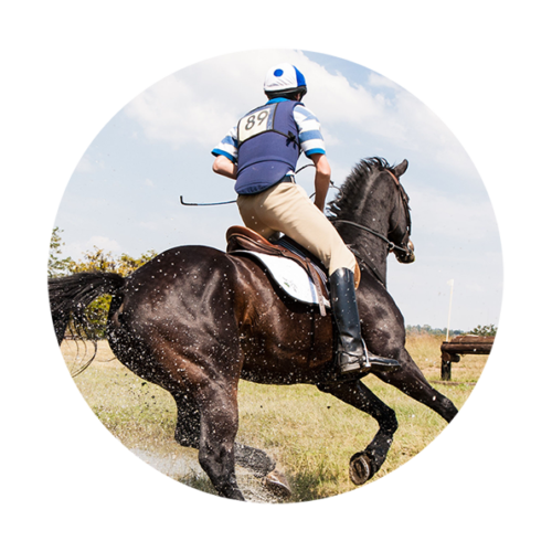 respectland binici kategori